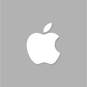 Apple Aesthetic Icon Grey Vector