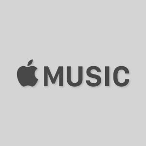 Apple Music Aesthetic Grey Logo Vector