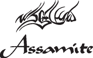 Assimite Clan Logo Vector
