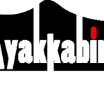 Ayakkabingo Logo Vector