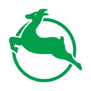 Bahrain Club Logo Vector