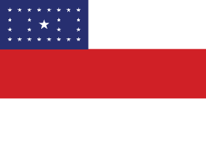 Bandeira De Itacoatiara Amazonas Logo Vector