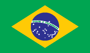 Bandeira Do Brasil Logo Vector