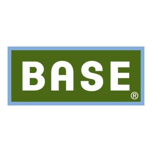Base Logo Vector