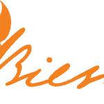 Bieso Logo Vector