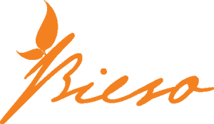 Bieso Logo Vector