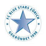 Blue Stars Logo Vector