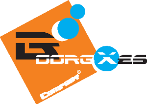 Boorgxes Company Logo Vector