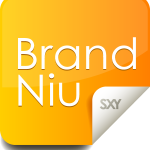 Brandniu Logo Vector