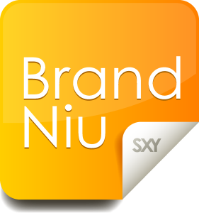 Brandniu Logo Vector