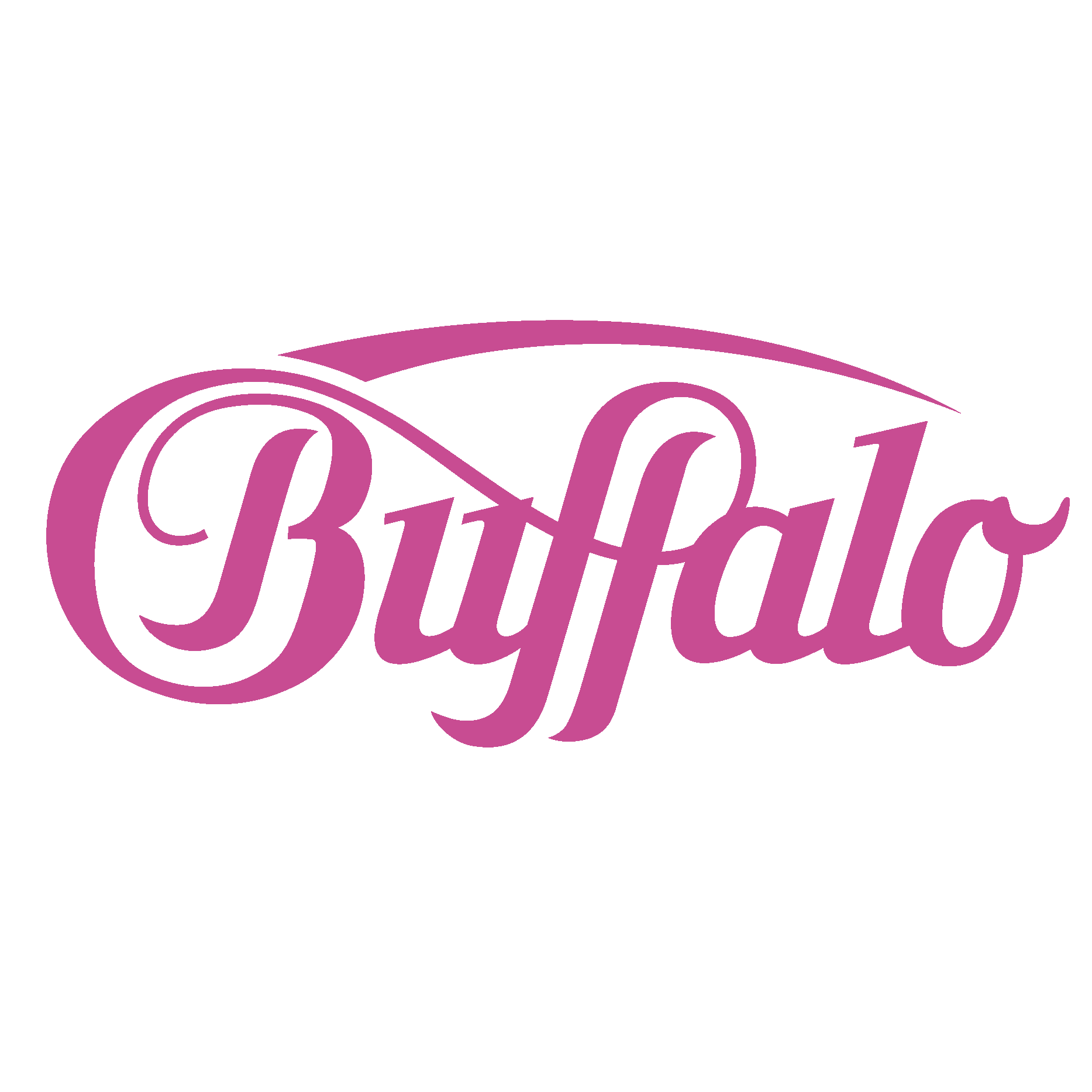 Buffalo Sabres 1999-2006 Logo PNG Vector (AI) Free Download