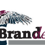 C Brand Design Logo Vector