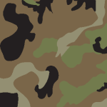 Camo Logo Vector