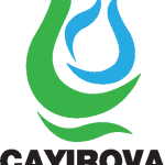 Cayırova Belediyesi Logo Vector