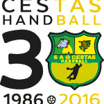 Cestas Handball Logo Vector