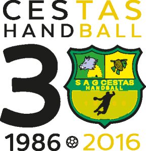 Cestas Handball Logo Vector