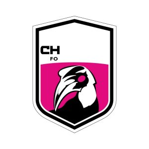 Chainat Hornbill F.C. Logo Vector