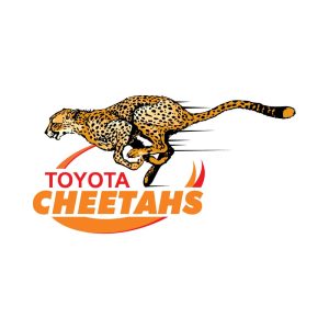 Cheetahs Rugby Logo Vector