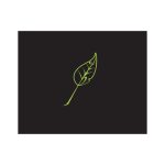 Clorophilla Film Leaf Logo Vector