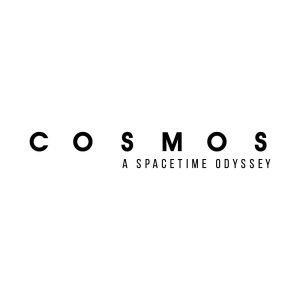 Cosmos Logo Vector