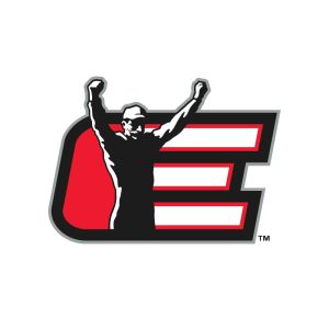 Dale Earnhardt Inc. Logo Vector