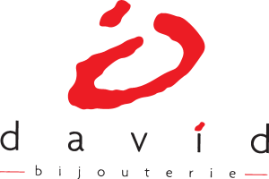 David Bijouterie Logo Vector