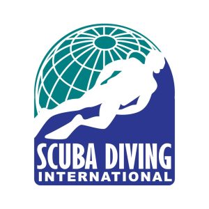 Diving Logo Vector