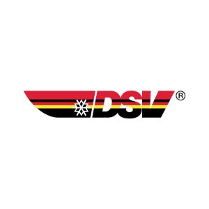 Dsv Deutscher Skiverband Logo Vector