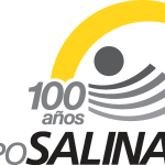 Grupo Salinas 100 Años Logo Vector