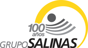 Grupo Salinas 100 Años Logo Vector