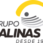 Grupo Salinas Logo Vector