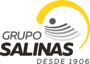 Grupo Salinas Logo Vector