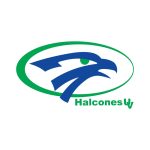 Halcones De Xalapa Logo Vector