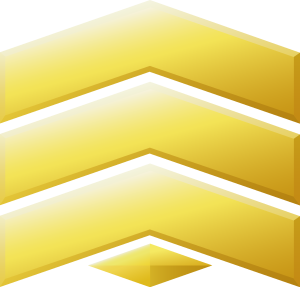 Halo 3 Medals Sergeant Grade 2 Logo Vector