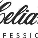 Helia D Professional Logo Vector