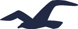 Hollister Seagul Icon Logo Vector