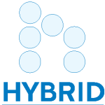 Hybrid Graphics Logo Vector