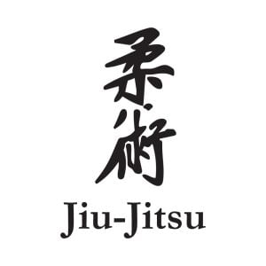 Jandervan Jiu Jitsu Logo Vector