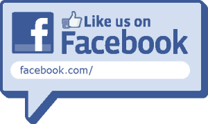 Like Us Facebook Logo Vector