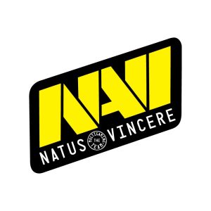 Natus Vincere Navi Logo Vector