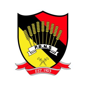 Negeri Sembilan Fa 2015 Logo Vector