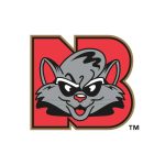 New Britain Rock Cats Logo Vector