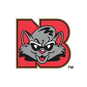 New Britain Rock Cats Logo Vector