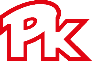 PK Disney Logo Vector