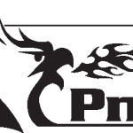 PnX Logo Vector