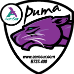 Puma Aerosur Logo Vector