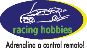 Racing Hobbies Logo Vector