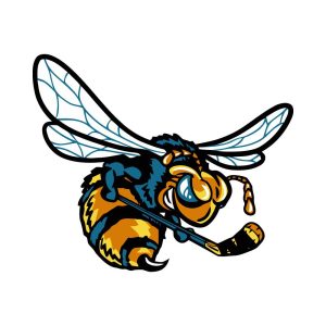 Rio Grande Valley Killer Bees Logo Vector