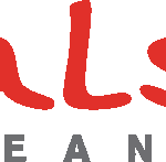 Salsa Jeans Logo Vector