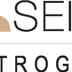 Seiki Logo Vector